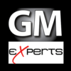 GM EXPERTS INC.