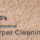 Hired pro